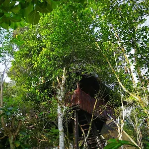 Greens Tree House & Wood House Sultan Bathery